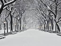 A snow covered road lined with bare trees