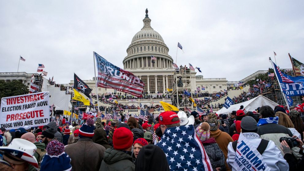 Massive crowds of Trump supporters with flags and signs gather outside the US Capitol Building. 
