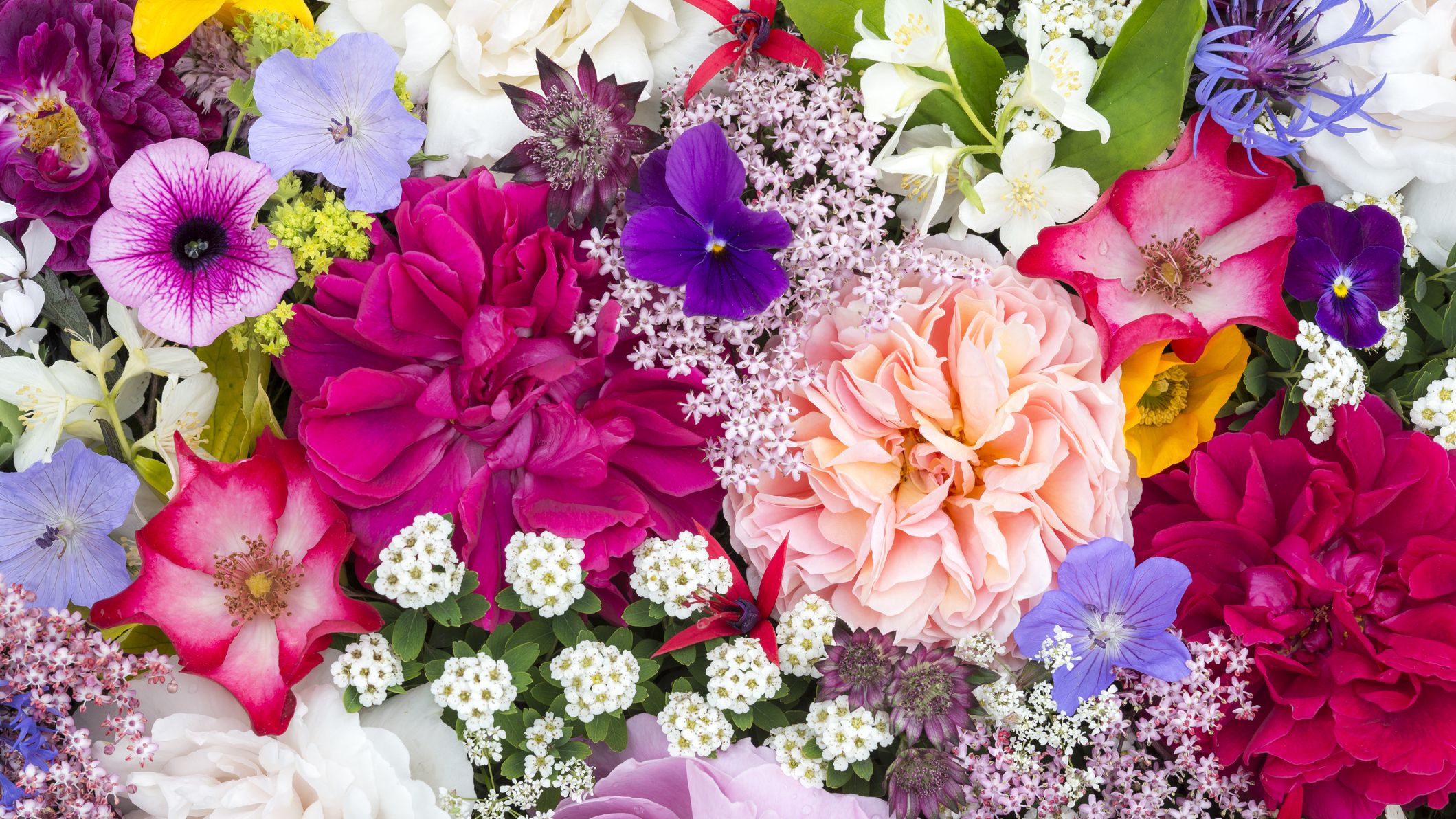 A bunch of flowers