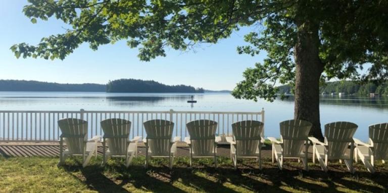 A photo of Muskoka chairs overlooking a lake beside a tall tree. 