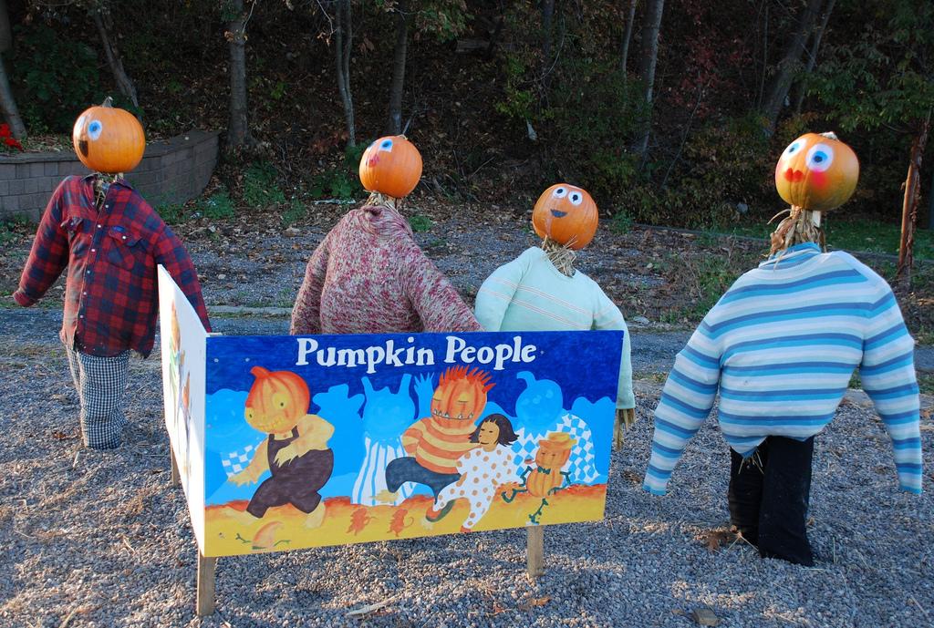 Stuffed scarecrows with pumpkins for heads