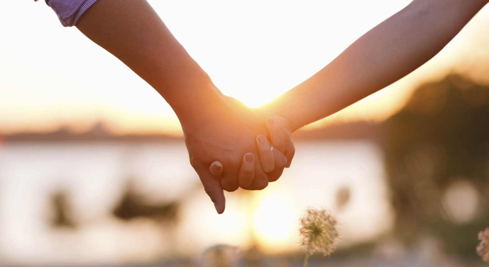 rencontre une femme quadriplégique