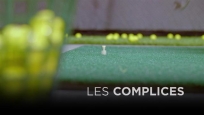 Les complices - Golf intérieur et cinéma