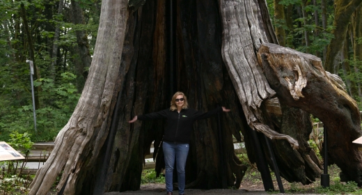 Jessie Archambault devant un sequoia